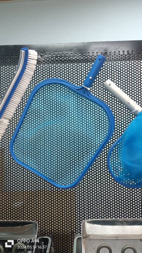 برگ گیر استخر